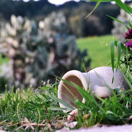 Turismo Rurale Baglio Segesta Country house